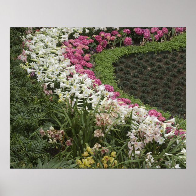 Poster Rhododendron (Rhododendron catawbiense) Heath (Frente)