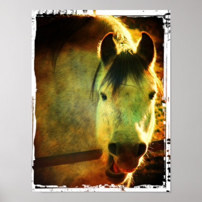 Pôster Ria (Frente)