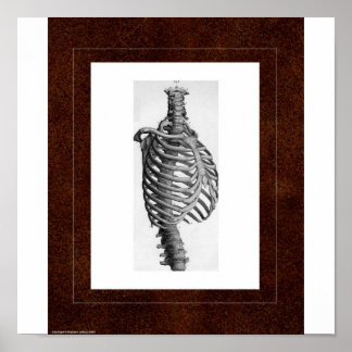 Pôster Rib Spirit House