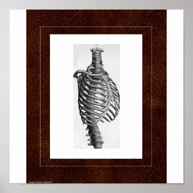 Pôster Rib Spirit House (Frente)