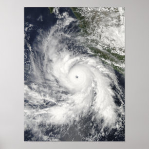 Pôster Rick do furacão