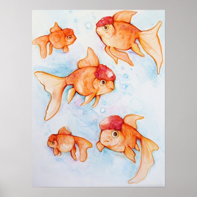Poster Rico Oranda Goldfish (Frente)