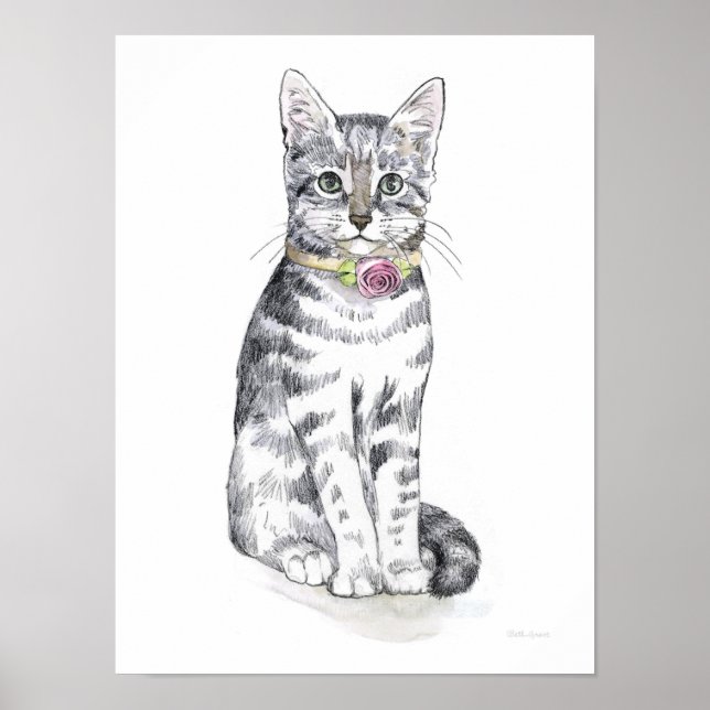 Poster Rico Tabby Cat (Frente)