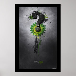 Pôster Riddle Me This