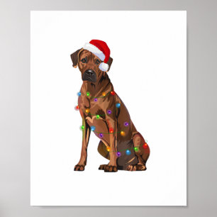 Poster Ridgeback Ridgeback Natal Luzes Xmas Cão Amor