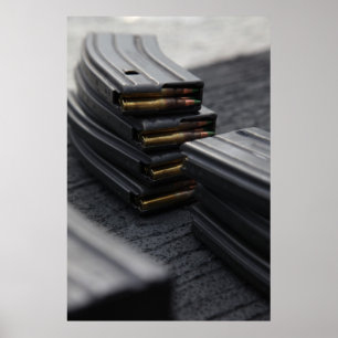 Pôster Rifle Magazines