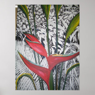 Poster Riki Riki Forrest