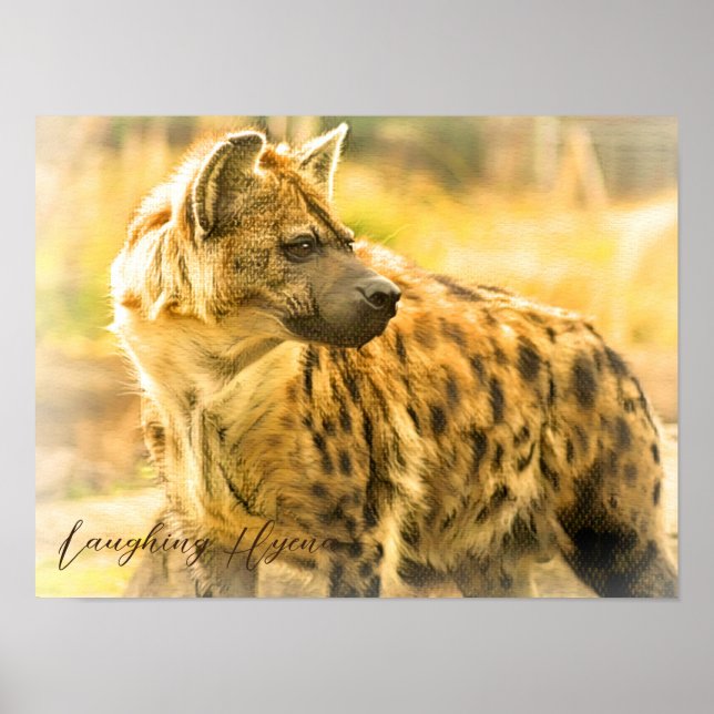 Poster Rindo de Hyena ポ ス タ ー (Frente)
