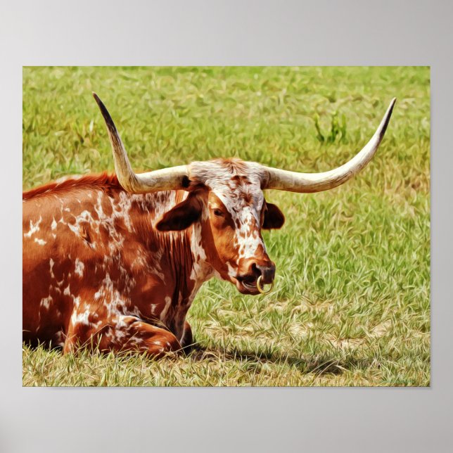Poster Ring Nose Texas Longhorn Cow (Frente)