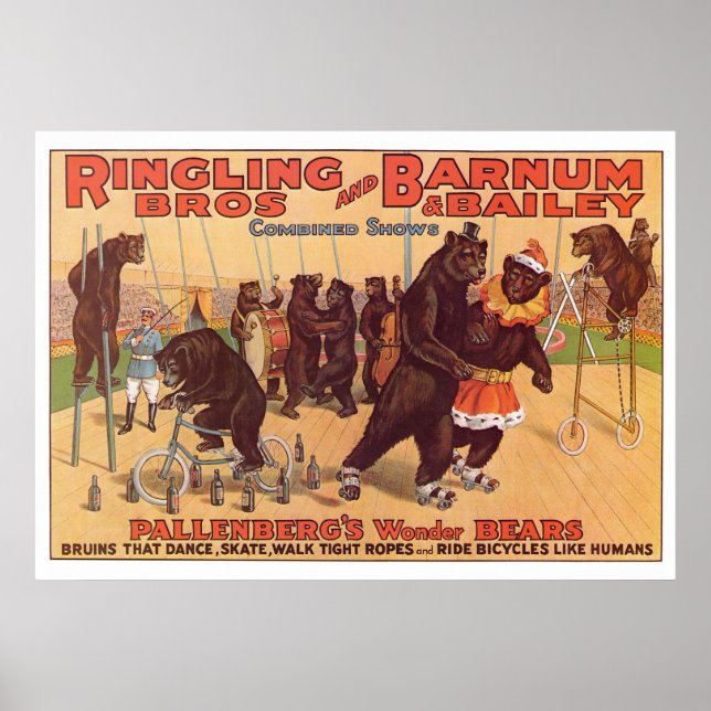 Poster Ringling Bros. Anúncio de Ursos Maravilha 1920 (Frente)