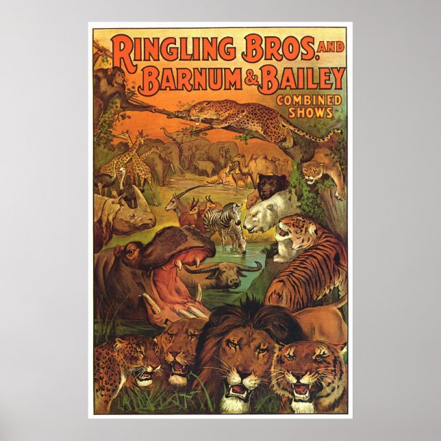Pôster Ringling Bros e Barnum & Bailey Combinados (Frente)