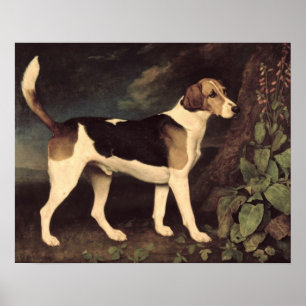 Poster Ringwood, um Foxhound de Brocklesby, 1792