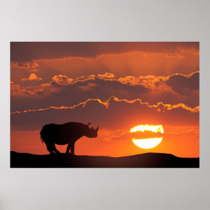 Pôster Rinoceronte no por do sol, Masai Mara, Kenya