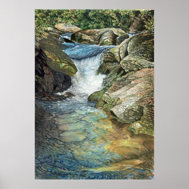 Poster Rio Chattooga (Frente)