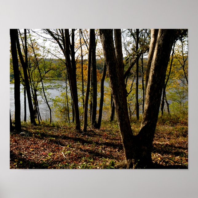 Poster Rio Connecticut (Frente)