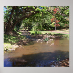 Poster Rio da Serenidade