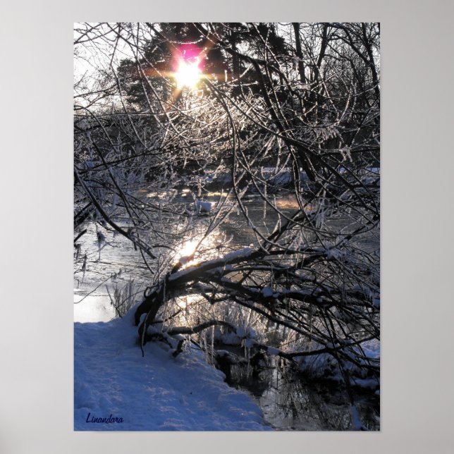 Pôster Rio Frio (Frente)