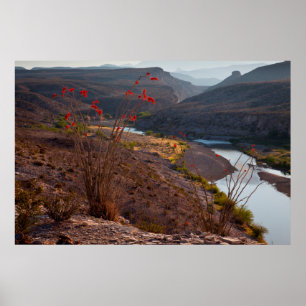 Pôster Rio Grande Atravessando o Deserto de Chihuahuan