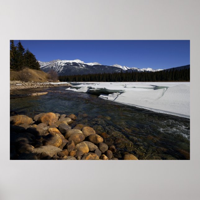 Poster Rio Icy Athabasca (Frente)