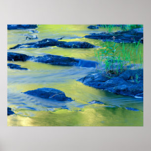 Poster Rio Lamprey   Nova Hampshire