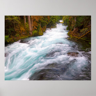 Poster Rio McKenzie Oregon