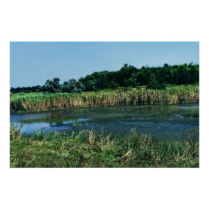 Pôster Rio Molochnaya perto de Melitopol. Sul da Ucrânia
