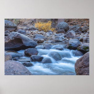 Poster Rio Rocky Fluente