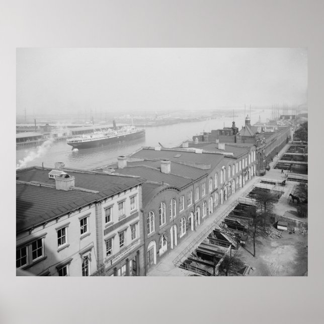 Poster Rio Savannah (Frente)