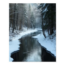 Rio Sereno de Inverno Fluindo Através da Floresta