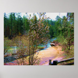 Poster Rio sul de Umpqua