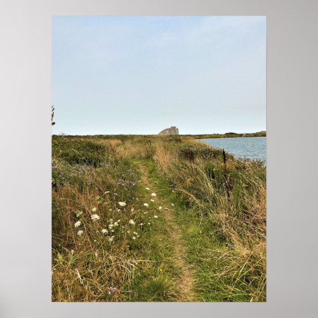 Poster Rio Trail em Cape Blanco, Oregon Costa (Frente)