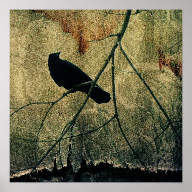 Pôster Ripped (Frente)