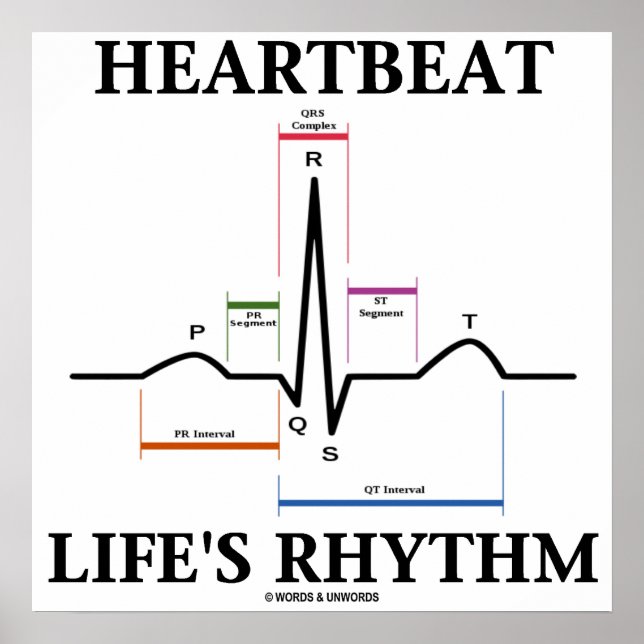 Poster ritmo cardíaco (ECG/EKG Heartbeat) (Frente)