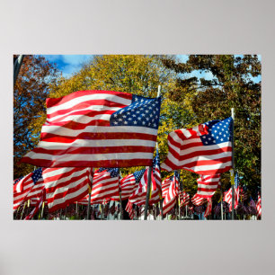 Pôster Riverdale, New York, USA. Wine country