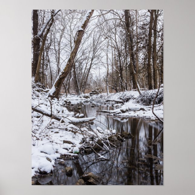 Poster Riverside Snow (Frente)