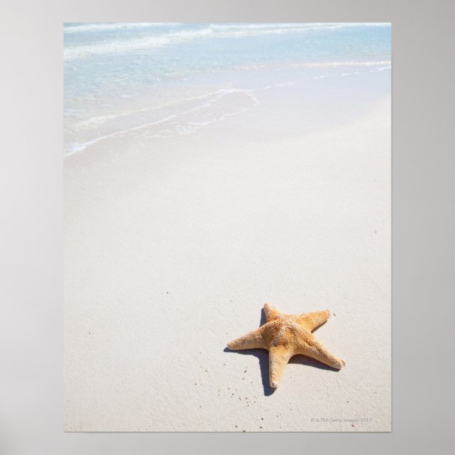 Poster Riviera Maya (Frente)