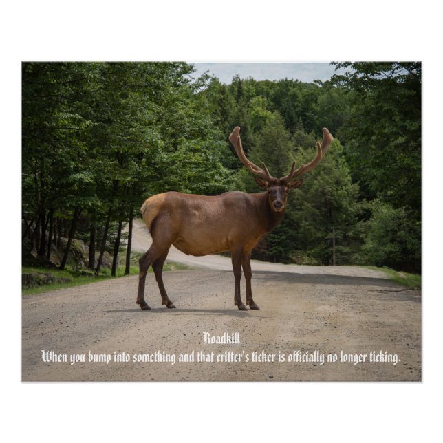 Pôster Roadkill (Frente)