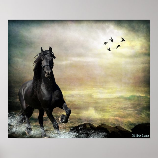 Pôster Roam a Cola (Frente)