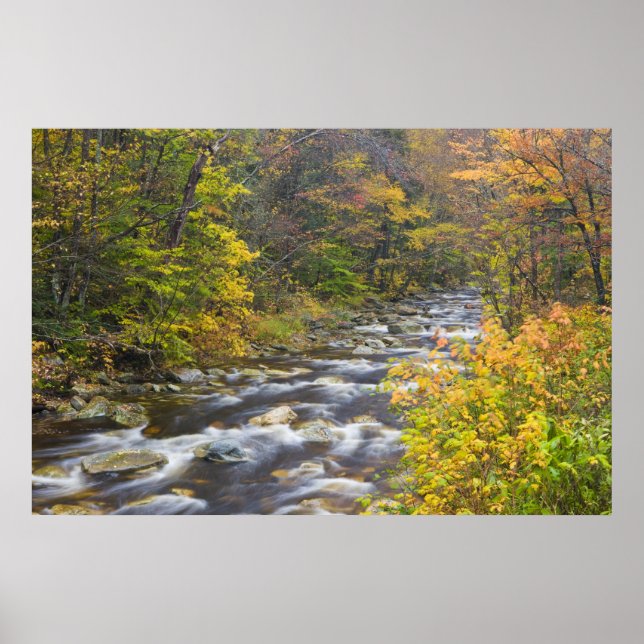 Poster Roaring Brook no outono no Green Vermont (Frente)