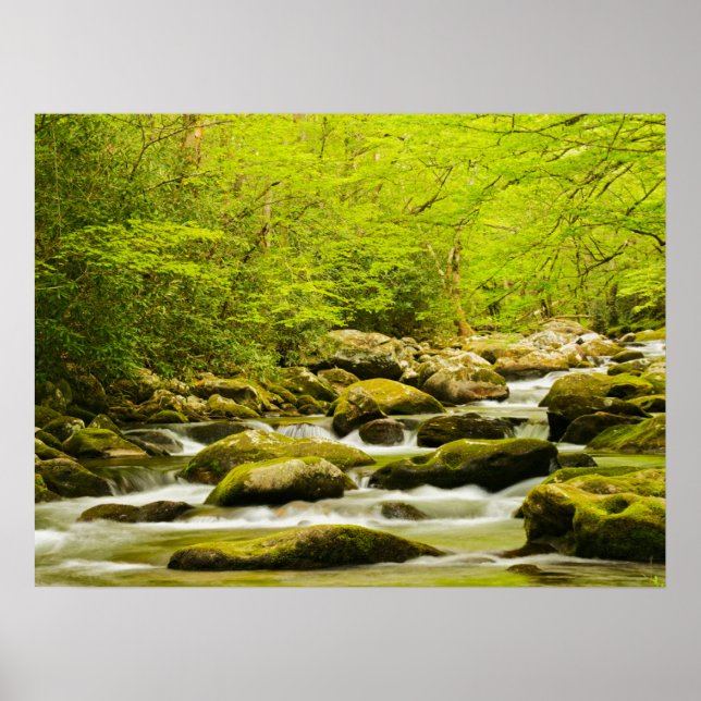Poster Roaring Fork na Primavera (Frente)