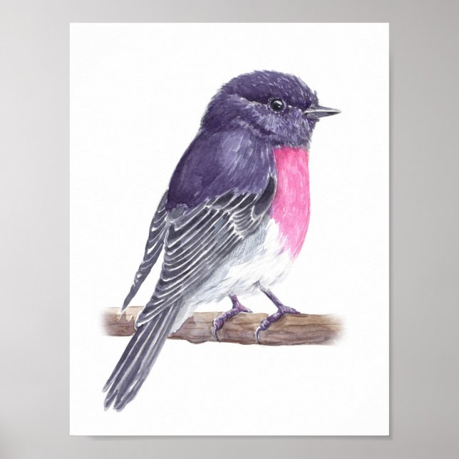 Pôster Robin (Frente)