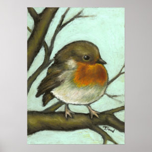 Pôster Robin