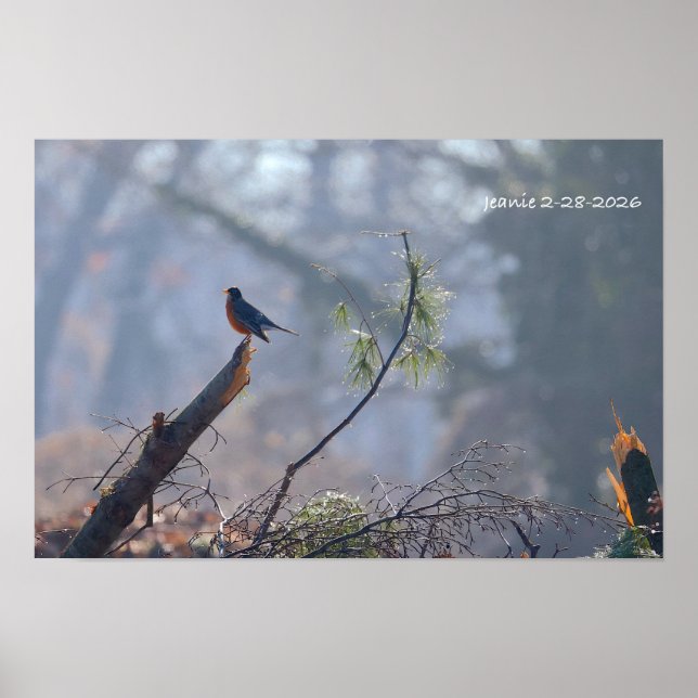 Poster Robin (Frente)