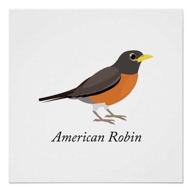 Pôster Robin Americano (Frente)