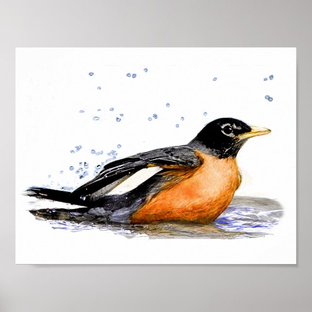 Poster Robin Bathing (Frente)
