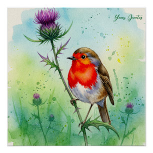 Pôster Robin Bird e Flor de Cardo Aquarela Botânica