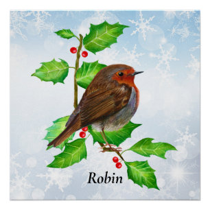 Pôster Robin Bird na pintura Holly Watercolor