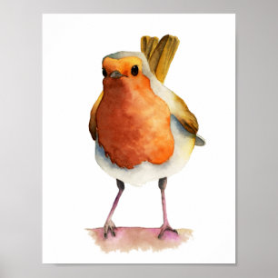 Pôster Robin Bird Watercolor Painting