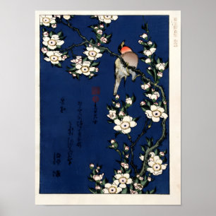 Poster Robin em um ramo de Cherry Blossoms por K. Hokusia