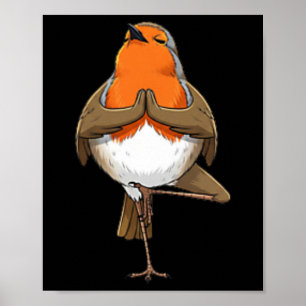 Poster Robin Faz Pose de Ioga Meditação Pássaro Engraçado